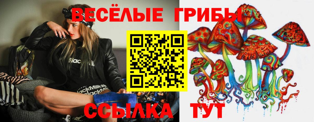 Псилоцибиновые грибы Psilocybe  Псилоцибиновые грибы Psilocybe  Долгопрудный  Вход с VPN 